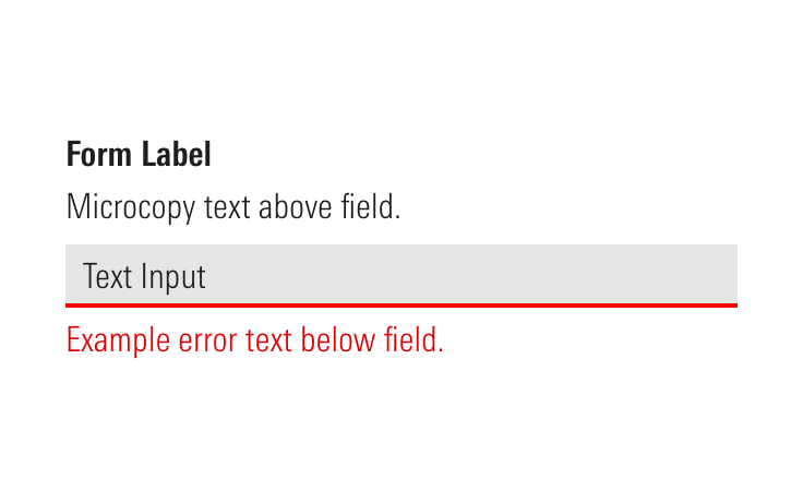 Example of a form input with a field error placed below it.